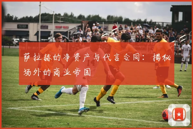 萨拉赫的净资产与代言合同:揭秘场外的商业帝国